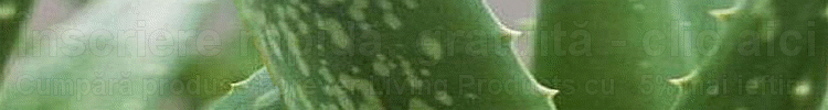 inscriere rapida, gratuita cumpara produse forever living products cu 5% mai ieftin